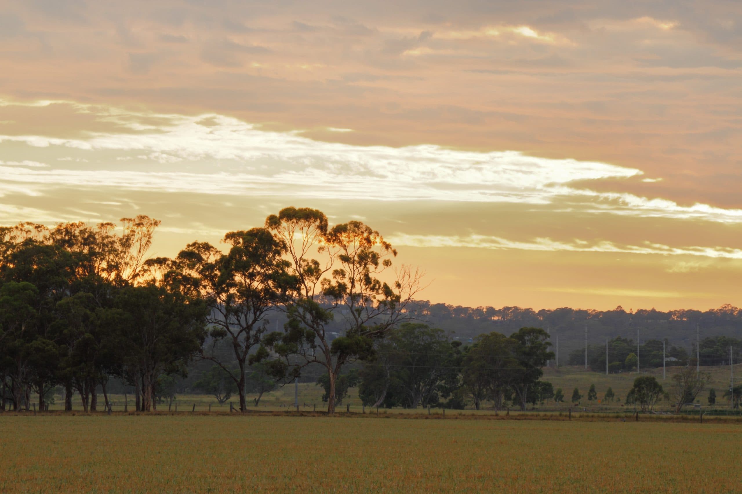 Is Wyreema, QLD a good place to live?|