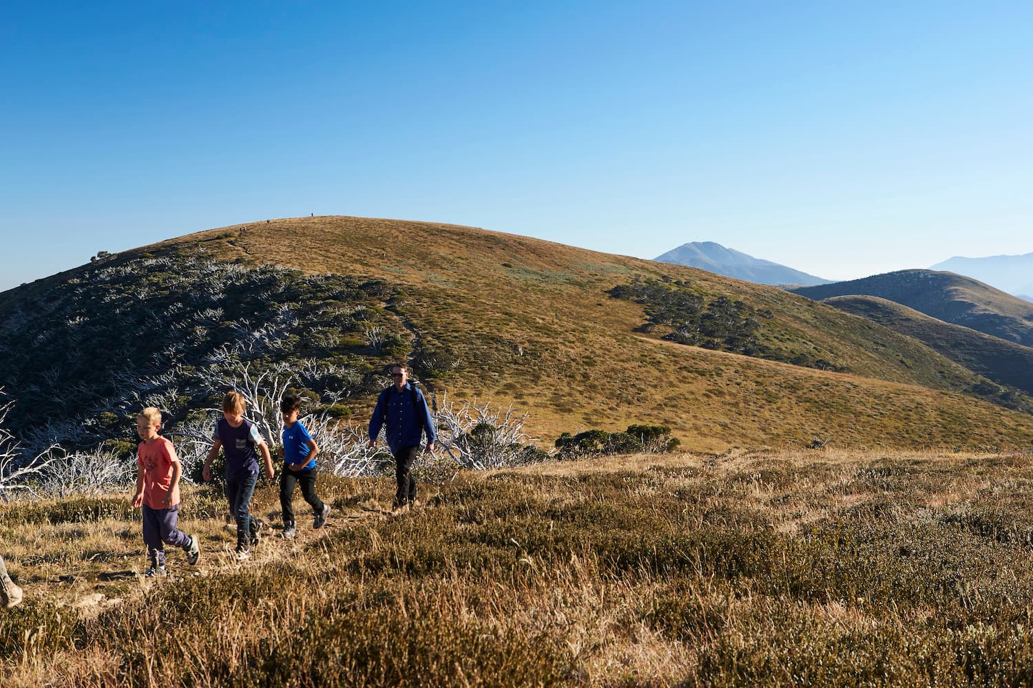 High Country region