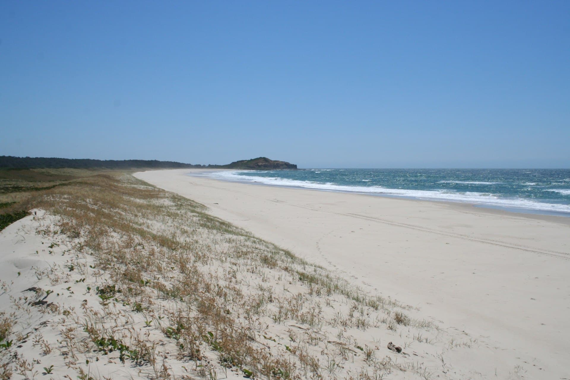 Iluka