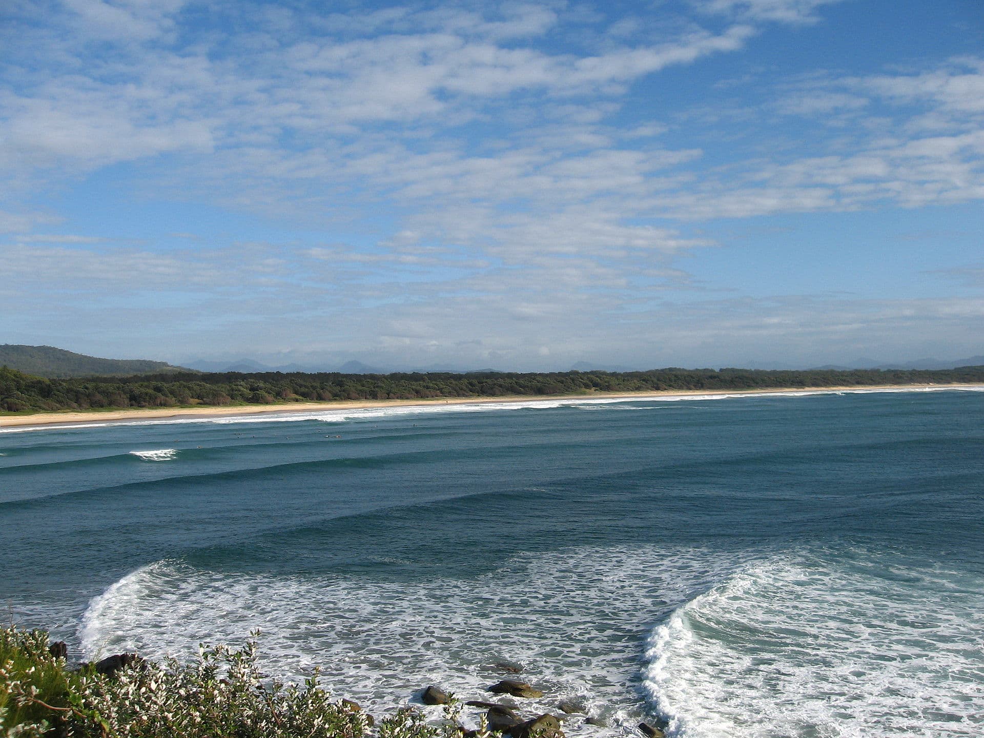 Scotts Head