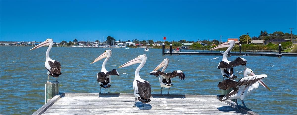 Is Goolwa, SA a good place to live?||