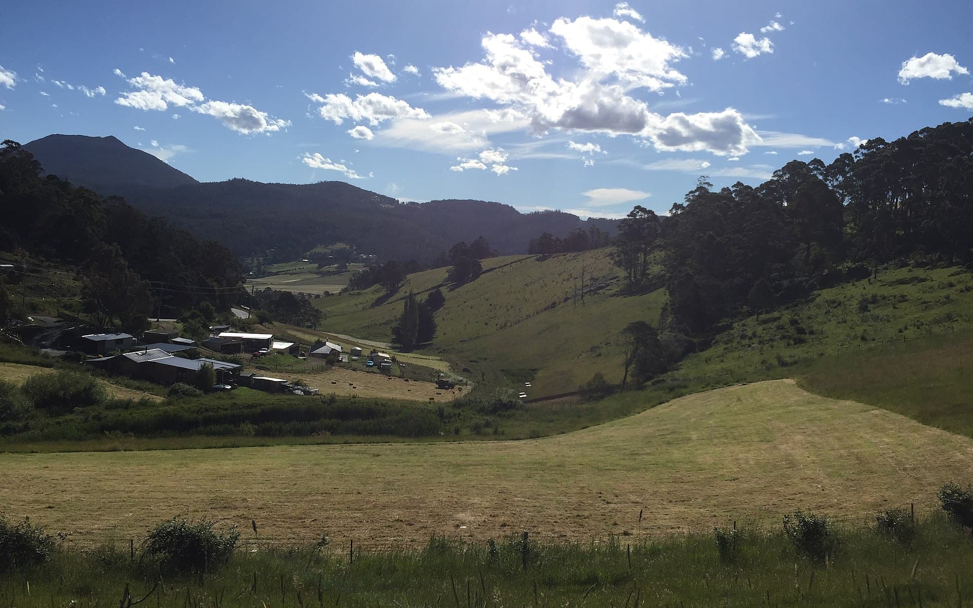 Is Collinsvale, TAS a good place to live?