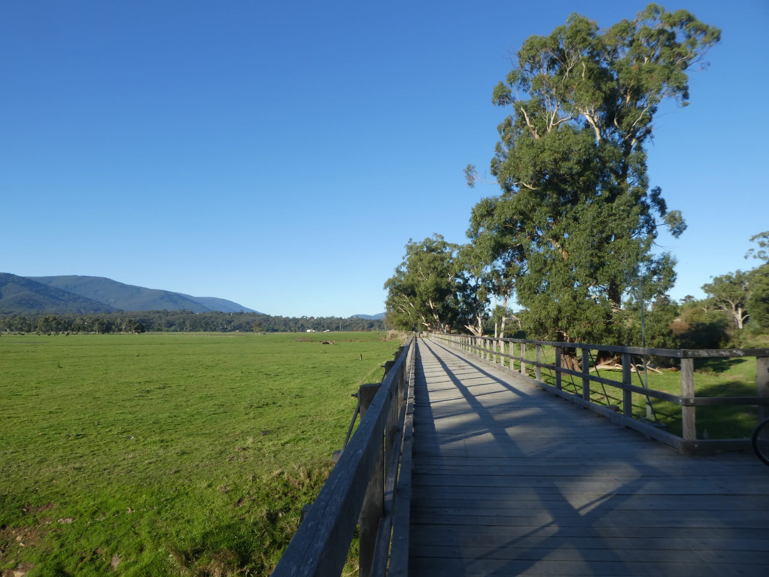 Woori Yallock