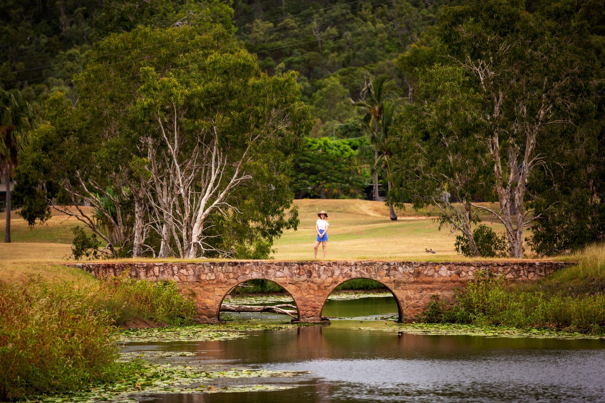 Is Haliday Bay, QLD a good place to live?|