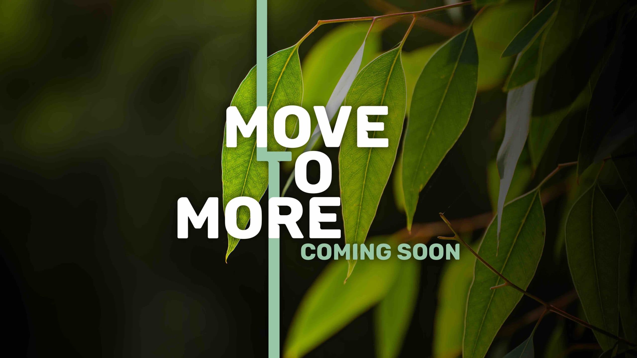 Tynong