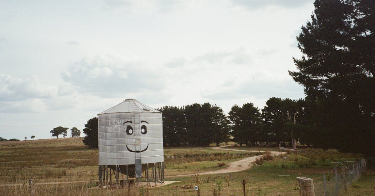 Charming rural landscape with a smiling water tank in an Australian field.