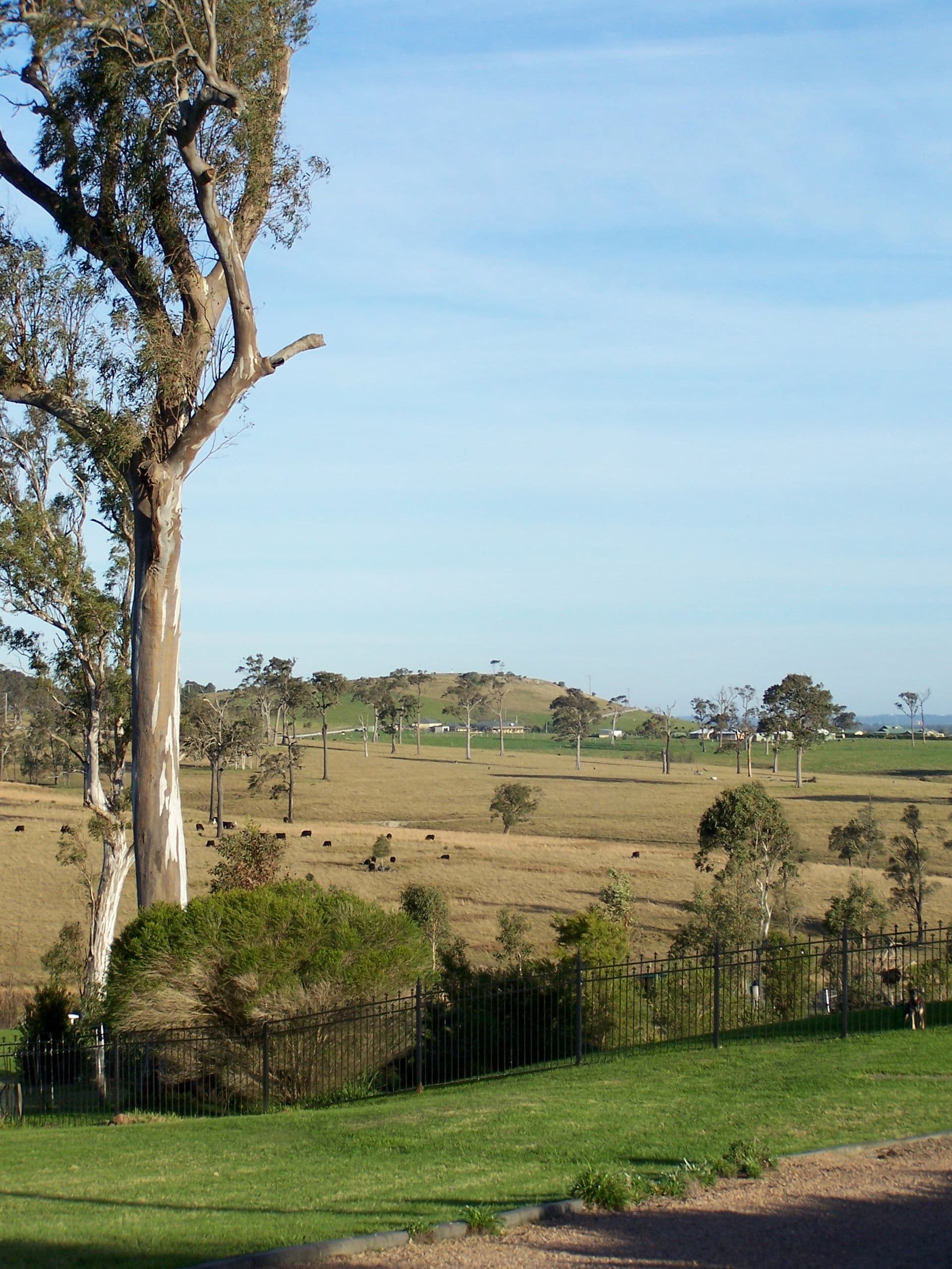 Brandy Hill