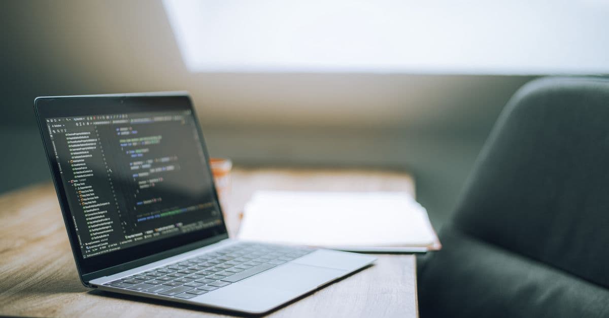 Developers/Programmers